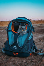 Load image into Gallery viewer, Kurgo G-Train K9 Pack, Carrier Backpack for Small Dogs and Cats, Ideal for Hiking or Travel, Waterproof Bottom, Chili Red