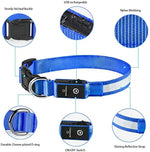 Load image into Gallery viewer, LED Dog Collar
