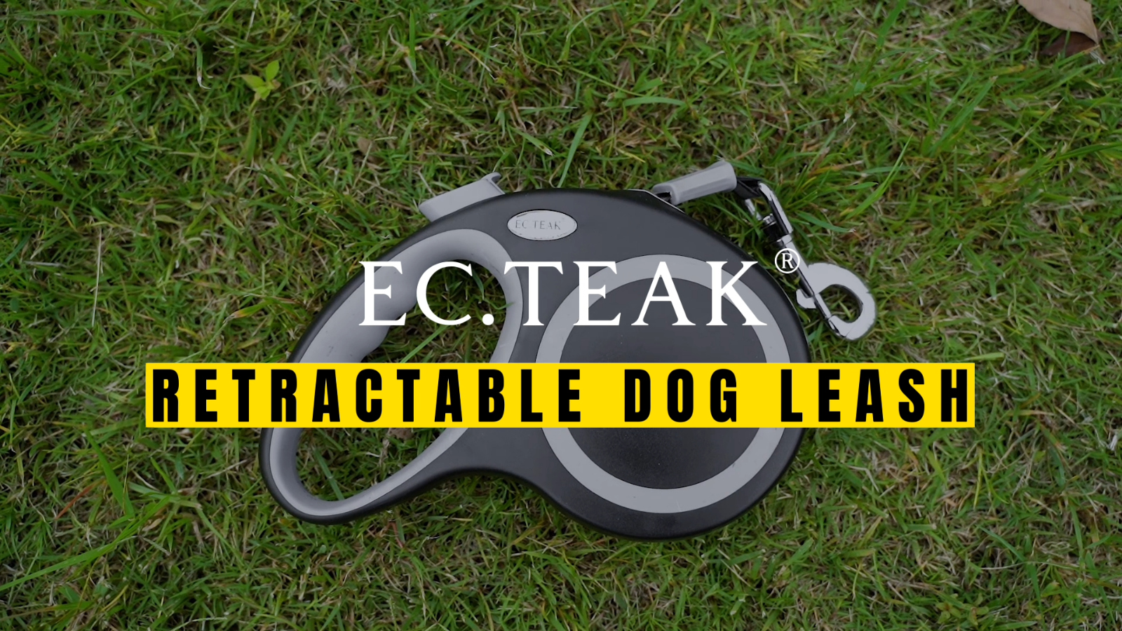 Retractable Dog Leash (26 Feet) + Free Collar