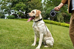 Load image into Gallery viewer, Retractable Dog Leash (26 Feet) + Free Collar
