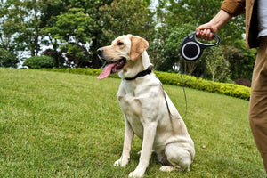 Retractable Dog Leash (26 Feet) + Free Collar