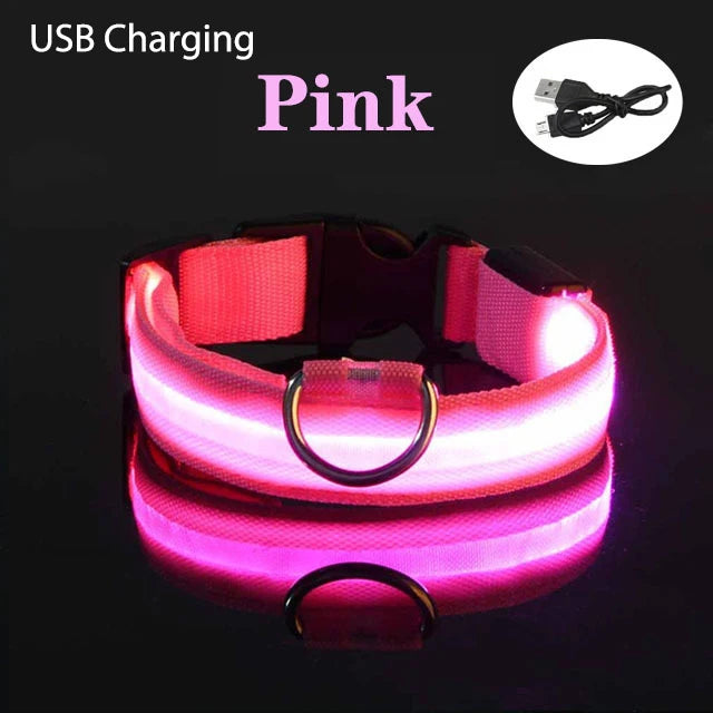 LED Dog Collar