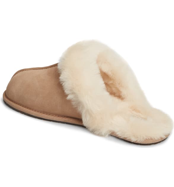 Scuffette II Slipper