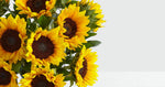 Load image into Gallery viewer, Deluxe Sunflower Radiance
