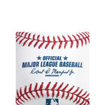 Load image into Gallery viewer, Arizona Diamondbacks Basic Party Kit for 16 Guests
