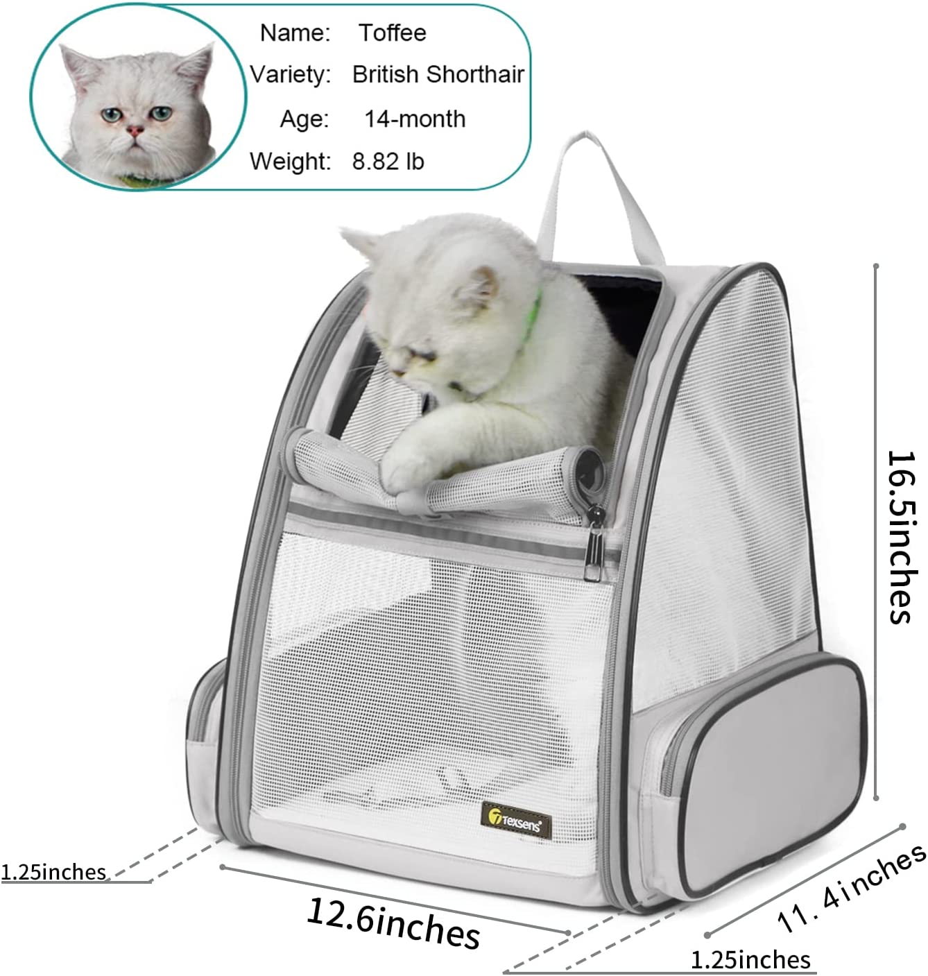 Texsens Innovative Traveler Bubble Backpack Pet Carriers for Cats and Dogs (Black)