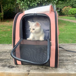 Load image into Gallery viewer, Texsens Innovative Traveler Bubble Backpack Pet Carriers for Cats and Dogs (Black)
