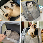 Load image into Gallery viewer, Texsens Innovative Traveler Bubble Backpack Pet Carriers for Cats and Dogs (Black)
