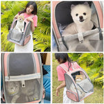 Load image into Gallery viewer, Texsens Innovative Traveler Bubble Backpack Pet Carriers for Cats and Dogs (Black)
