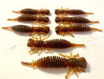 Load image into Gallery viewer, 10 Pack 3&quot; Hellgrammite Insect Larva Ned Rig Soft Plastic Lures - Soft&amp;Durable!
