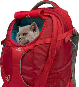 Kurgo G-Train K9 Pack, Carrier Backpack for Small Dogs and Cats, Ideal for Hiking or Travel, Waterproof Bottom, Chili Red