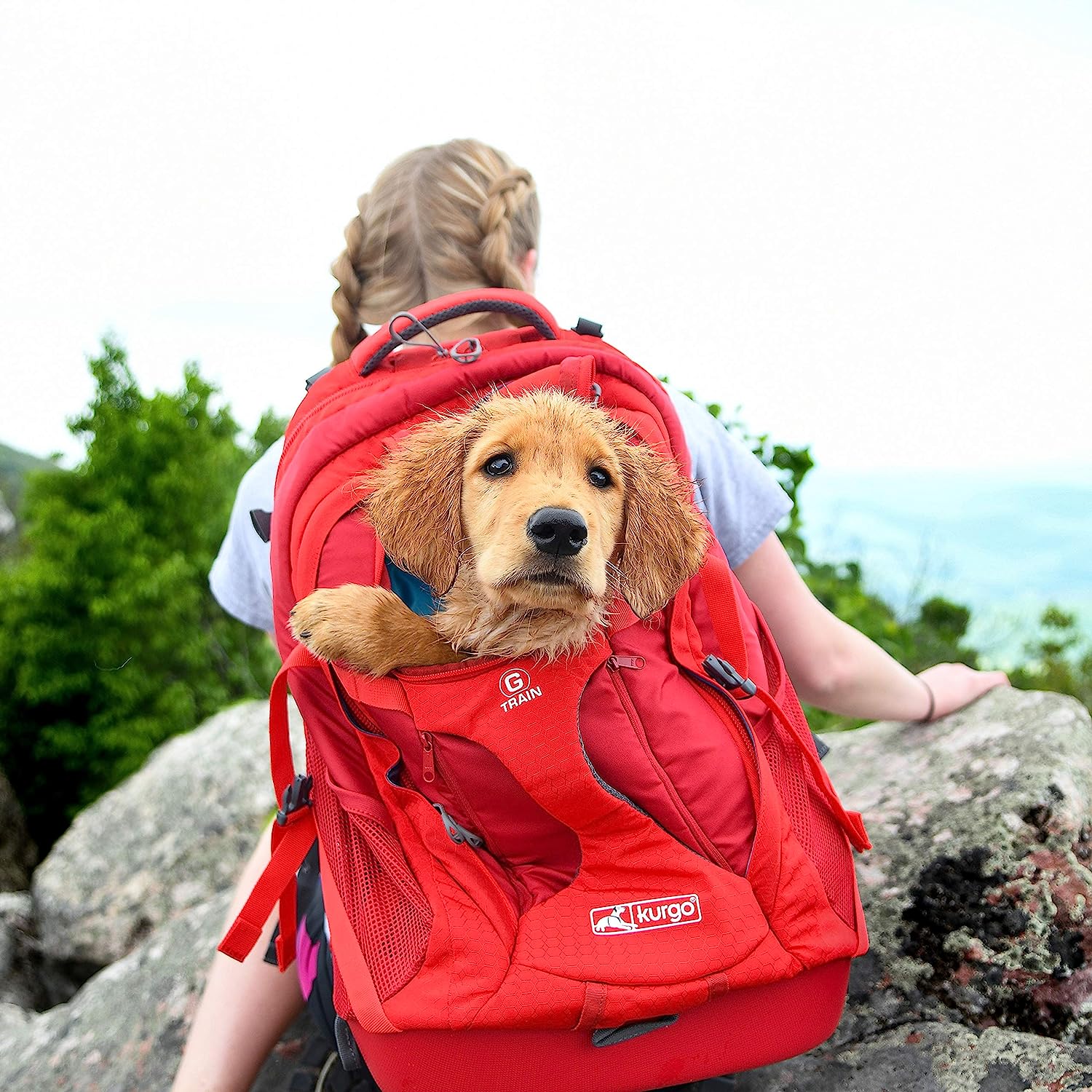 Kurgo G-Train K9 Pack, Carrier Backpack for Small Dogs and Cats, Ideal for Hiking or Travel, Waterproof Bottom, Chili Red