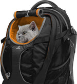 Load image into Gallery viewer, Kurgo G-Train K9 Pack, Carrier Backpack for Small Dogs and Cats, Ideal for Hiking or Travel, Waterproof Bottom, Chili Red
