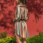 Load image into Gallery viewer, Long Sleeve Shirt Dress 2019
