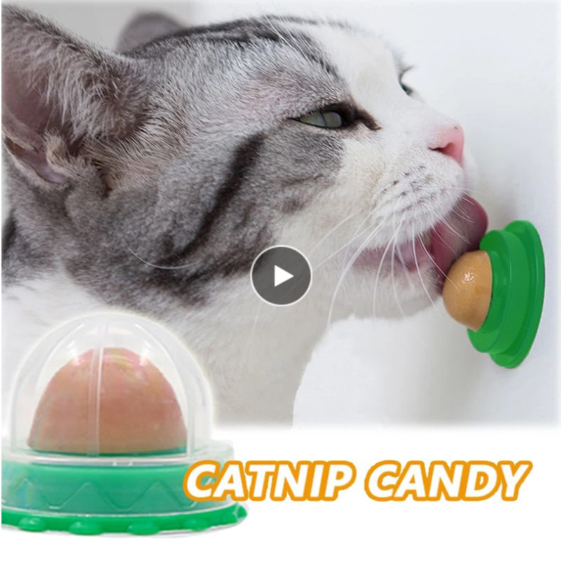 Nutrition Cat Catnip Ball Dust Cover Round Safe Catnip Snack Lick Candy Vitamin Pudding Catnip Lollipop For Cat Kitten Ragdoll|Cat Toys|