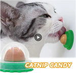 Load image into Gallery viewer, Nutrition Cat Catnip Ball Dust Cover Round Safe Catnip Snack Lick Candy Vitamin Pudding Catnip Lollipop For Cat Kitten Ragdoll|Cat Toys|
