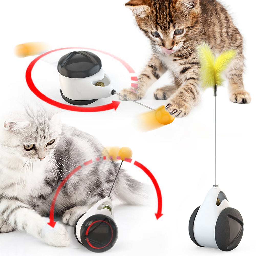 Tumbler Swing Toys for Cats Kitten Interactive Balance Car Cat Chasing Toy With Catnip Funny Pet Products for Dropshipping|Cat Toys|