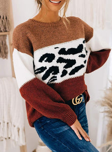 CANIKAT Women's Crewneck Color Block Striped Sweater Long Sleeve Loose Knit Pullover Jumper Tops