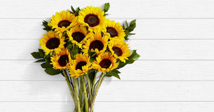 Deluxe Sunflower Radiance