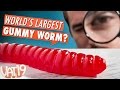 The World's Largest Gummy Worm