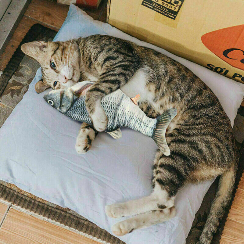 Floppy Moving Fish Cat Toy