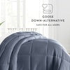 All Season Super Plush Breathable Down-Alternative Comforter