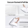 2 Pack Cotton Pillows Overstuffed Gusseted Down Alternative Bed Pillows