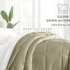 All Season Super Plush Breathable Down-Alternative Comforter