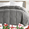 All Season Super Plush Breathable Down-Alternative Comforter