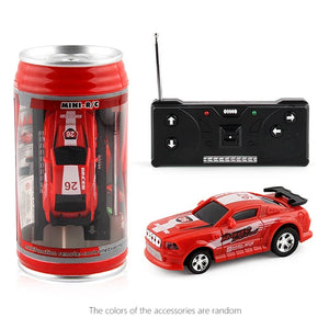 Mini RC Car