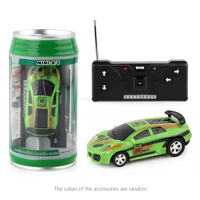 Mini RC Car