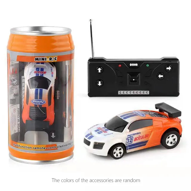 Mini RC Car