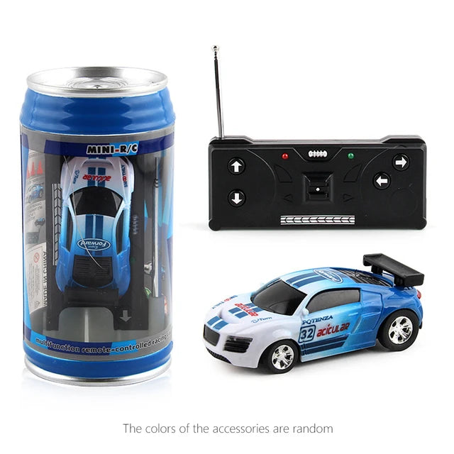 Mini RC Car