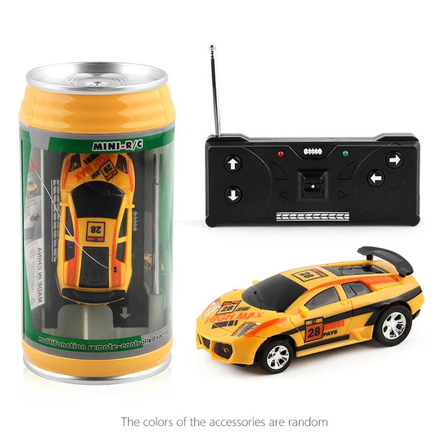 Mini RC Car