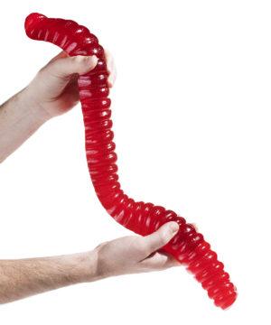 The World's Largest Gummy Worm