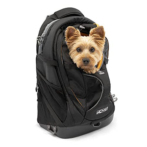 Kurgo G-Train K9 Pack, Carrier Backpack for Small Dogs and Cats, Ideal for Hiking or Travel, Waterproof Bottom, Chili Red