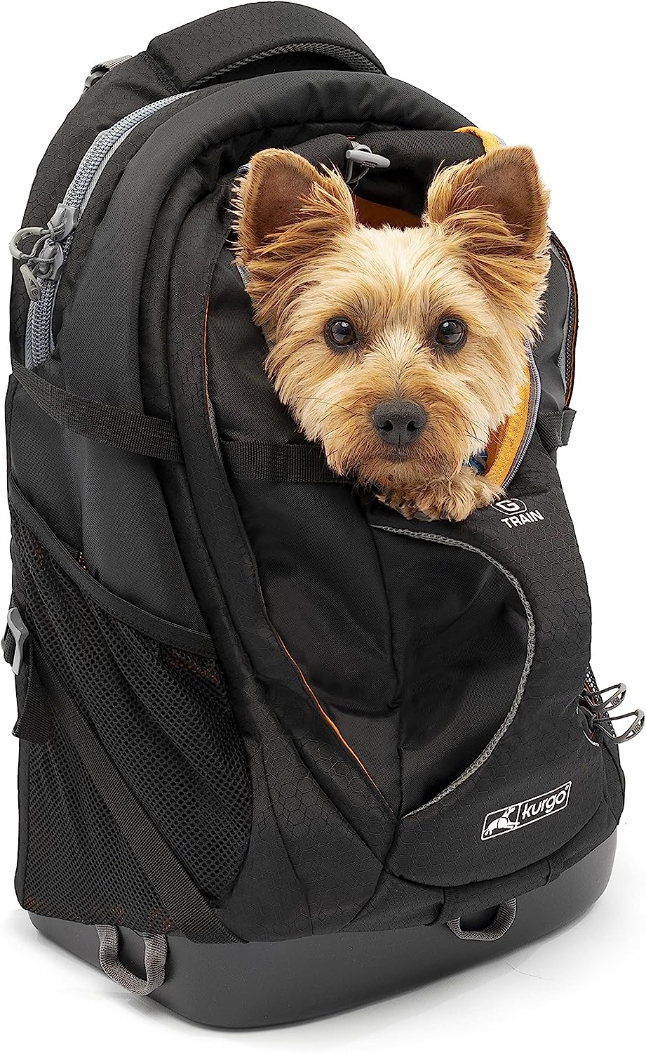 Kurgo G-Train K9 Pack, Carrier Backpack for Small Dogs and Cats, Ideal for Hiking or Travel, Waterproof Bottom, Chili Red