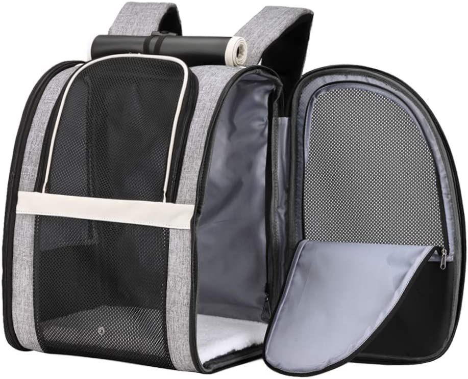 Texsens Innovative Traveler Bubble Backpack Pet Carriers for Cats and Dogs (Black)