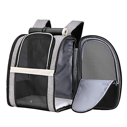 Texsens Innovative Traveler Bubble Backpack Pet Carriers for Cats and Dogs (Black)