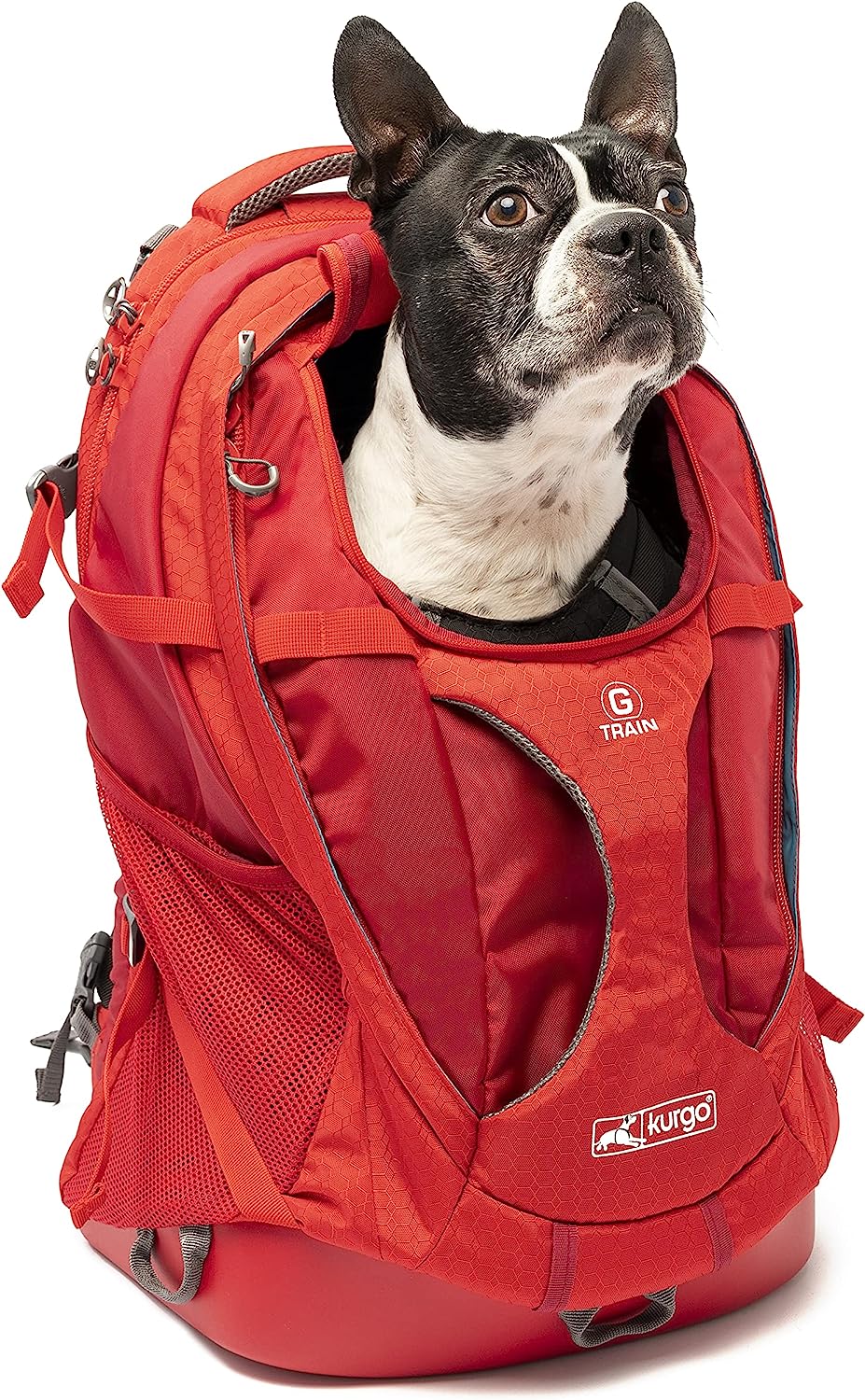 Kurgo G-Train K9 Pack, Carrier Backpack for Small Dogs and Cats, Ideal for Hiking or Travel, Waterproof Bottom, Chili Red