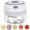 Load image into Gallery viewer, Dropshipping Wireless USB Charging Electric Mini Garlic Crusher Press Blender Grinder Garlic Chopper
